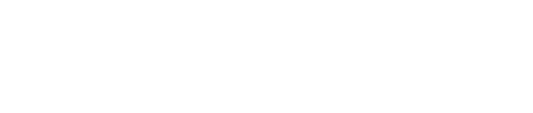 Alleyoop Support logo